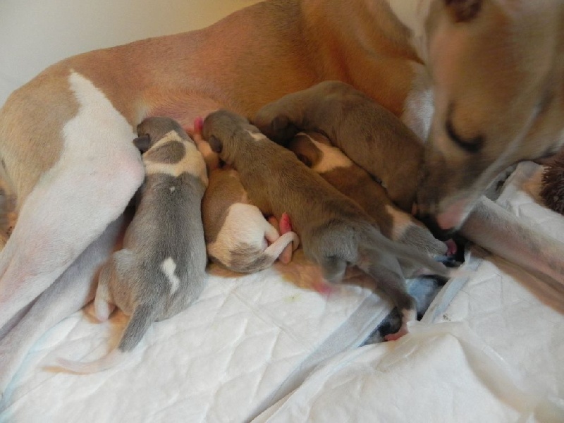 Bébés d'Happy-Lola 27/08/2014